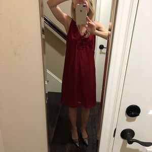 Ann Taylor Loft Dress 4P New with Tags